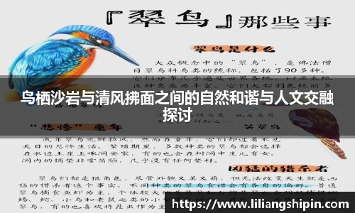 鸟栖沙岩与清风拂面之间的自然和谐与人文交融探讨